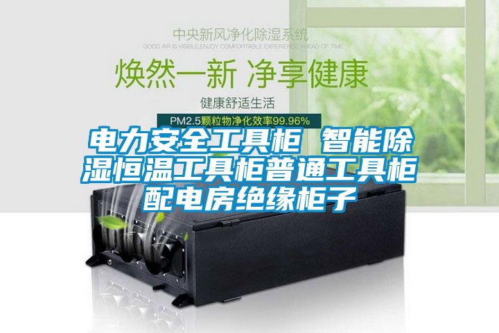 电力安全工具柜 智能除湿恒温工具柜普通工具柜配电房绝缘柜子