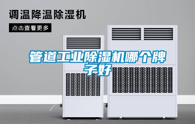 管道工业除湿机哪个牌子好