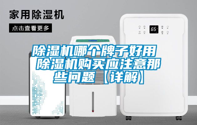 除湿机哪个牌子好用 除湿机购买应注意那些问题【详解】