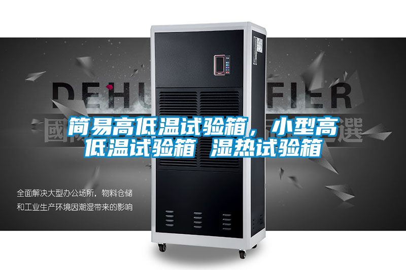 简易高低温试验箱，小型高低温试验箱 湿热试验箱