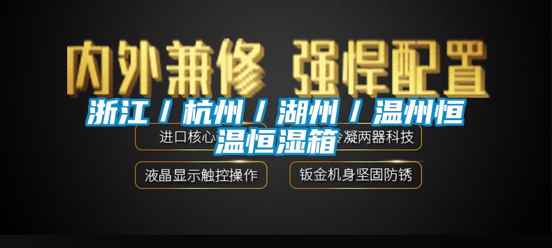 浙江／杭州／湖州／温州恒温恒湿箱
