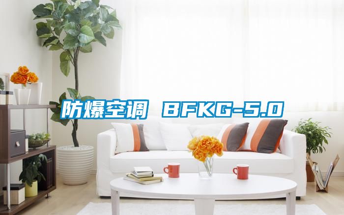 防爆空调 BFKG-5.0