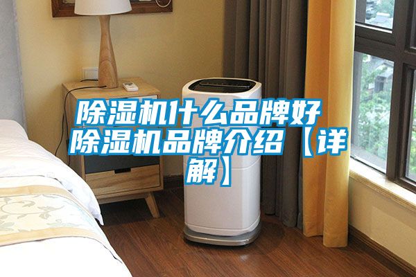 除湿机什么品牌好 除湿机品牌介绍【详解】