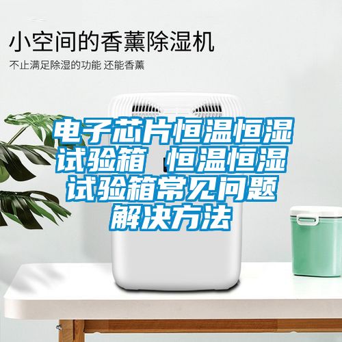 电子芯片恒温恒湿试验箱 恒温恒湿试验箱常见问题解决方法