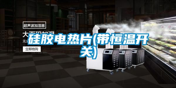 硅胶电热片(带恒温开关)
