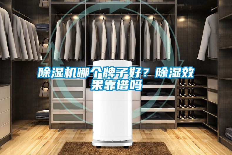 除湿机哪个牌子好？除湿效果靠谱吗