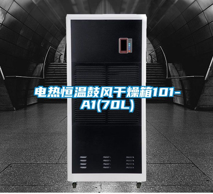 电热恒温鼓风干燥箱101-A1(70L)