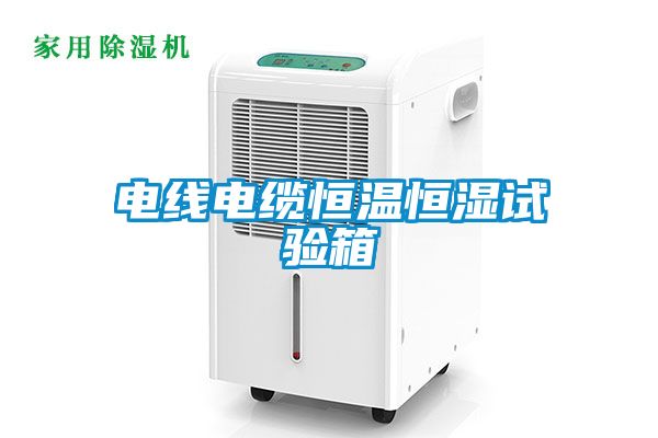 电线电缆恒温恒湿试验箱