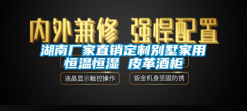 湖南厂家直销定制别墅家用恒温恒湿 皮革酒柜