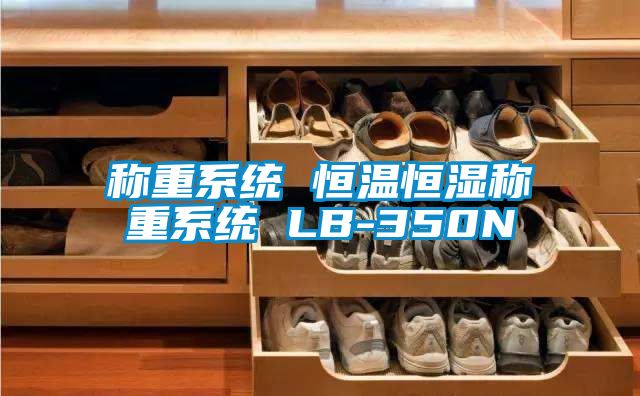 称重系统 恒温恒湿称重系统 LB-350N