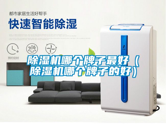 除湿机哪个牌子最好（除湿机哪个牌子的好）