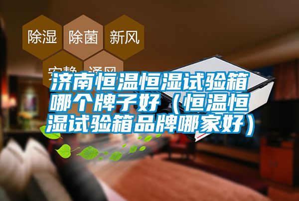 济南恒温恒湿试验箱哪个牌子好（恒温恒湿试验箱品牌哪家好）