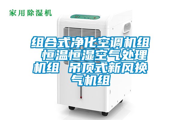 组合式净化空调机组 恒温恒湿空气处理机组 吊顶式新风换气机组