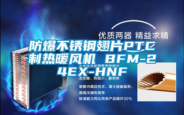 防爆不锈钢翅片PTC制热暖风机 BFM-24EX-HNF