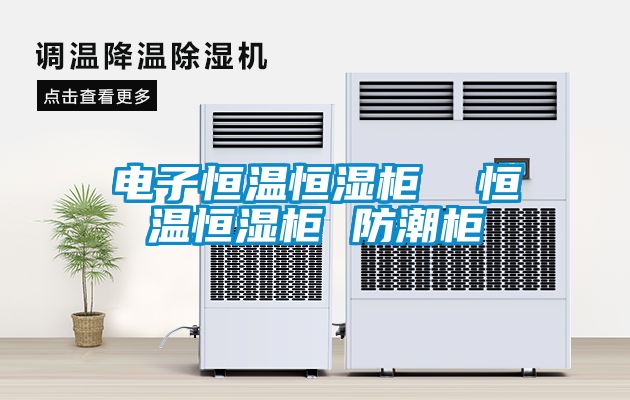 电子恒温恒湿柜  恒温恒湿柜 防潮柜