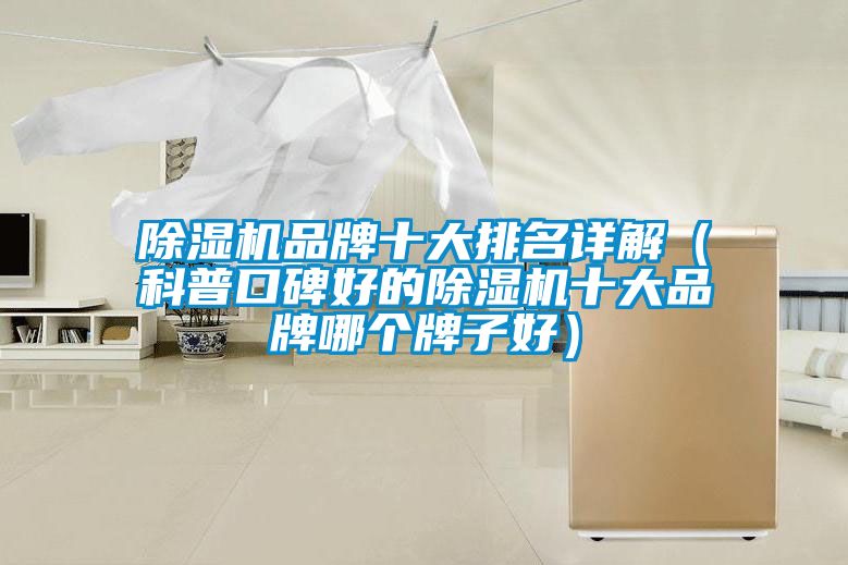 除湿机品牌十大排名详解（科普口碑好的除湿机十大品牌哪个牌子好）
