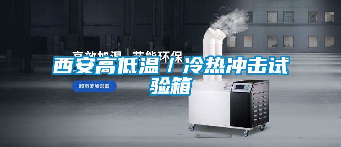 西安高低温／冷热冲击试验箱