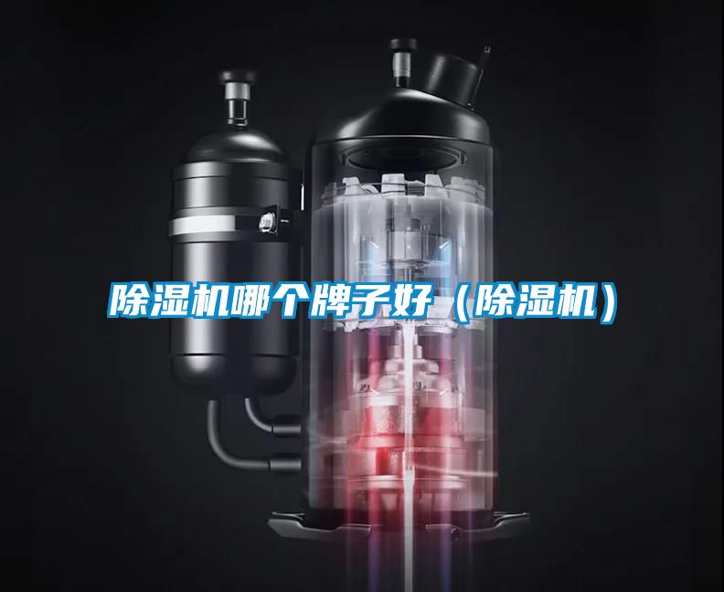 除湿机哪个牌子好（除湿机）