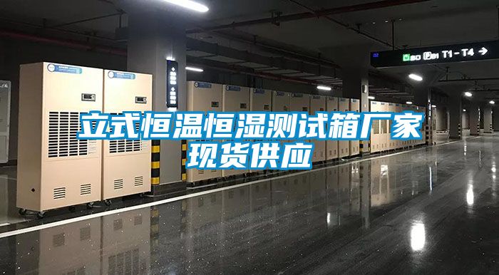 立式恒温恒湿测试箱厂家现货供应