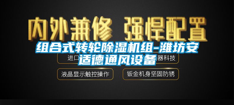 组合式转轮除湿机组-潍坊安适德通风设备