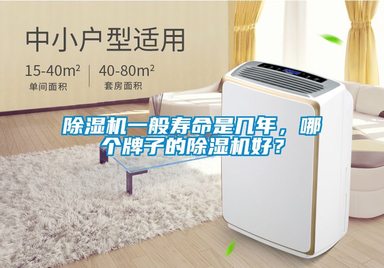 除湿机一般寿命是几年，哪个牌子的除湿机好？
