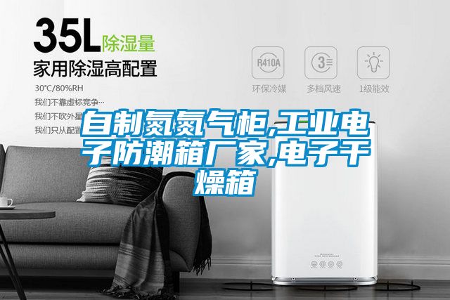 自制氮氮气柜,工业电子防潮箱厂家,电子干燥箱