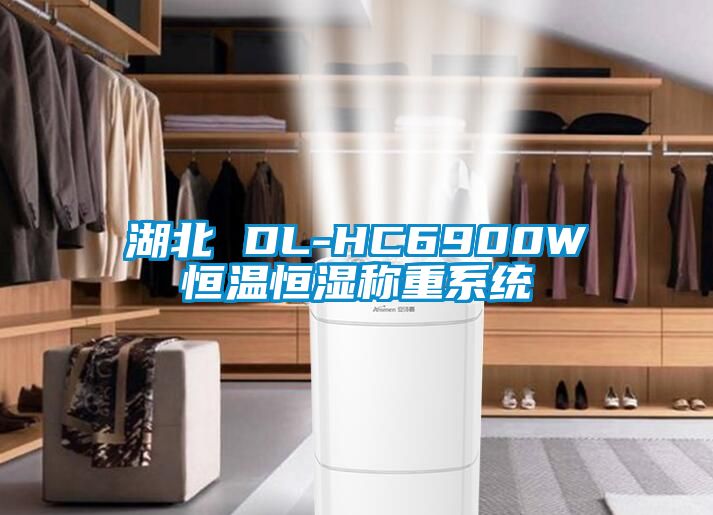 湖北 DL-HC6900W恒温恒湿称重系统