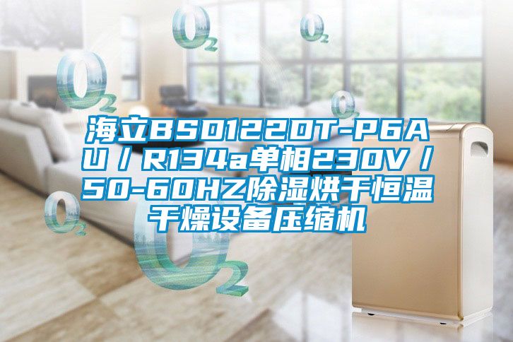 海立BSD122DT-P6AU／R134a单相230V／50-60HZ除湿烘干恒温干燥设备压缩机
