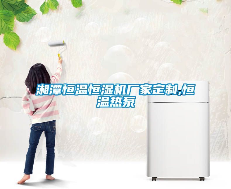 湘潭恒温恒湿机厂家定制,恒温热泵