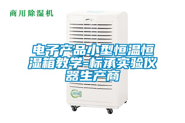 电子产品小型恒温恒湿箱教学-标承实验仪器生产商