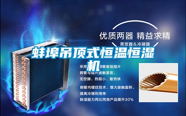 蚌埠吊顶式恒温恒湿机