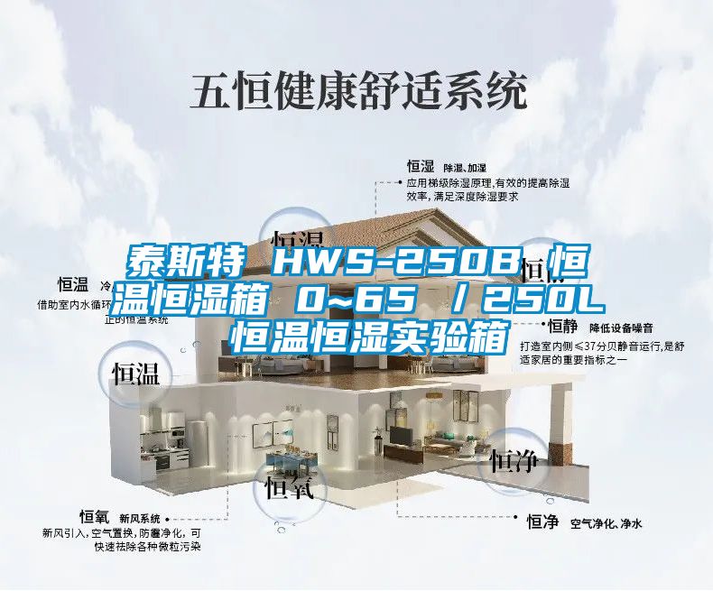 泰斯特 HWS-250B 恒温恒湿箱 0~65℃／250L 恒温恒湿实验箱