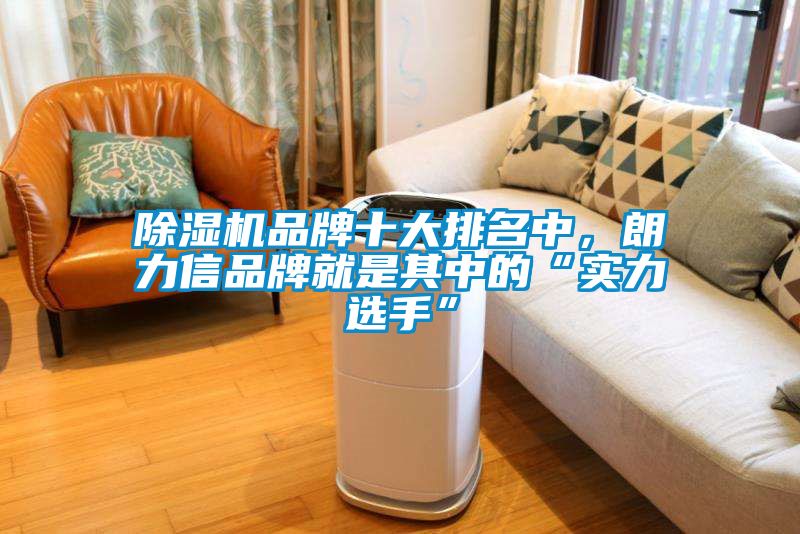 除湿机品牌十大排名中，朗力信品牌就是其中的“实力选手”