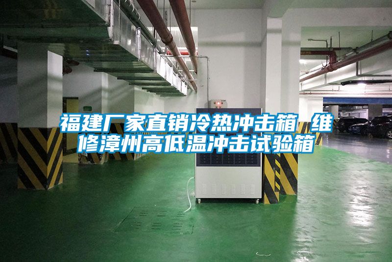福建厂家直销冷热冲击箱 维修漳州高低温冲击试验箱