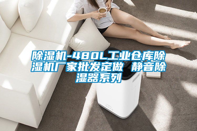 除湿机-480L工业仓库除湿机厂家批发定做 静音除湿器系列