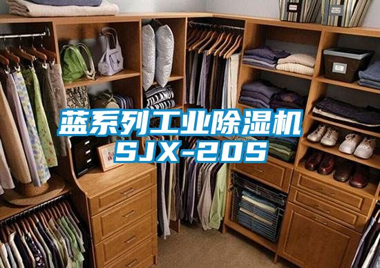 蓝系列工业除湿机 SJX-20S