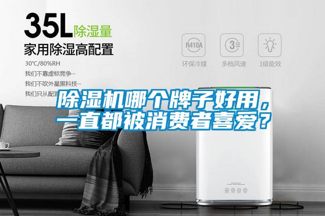 除湿机哪个牌子好用，一直都被消费者喜爱？