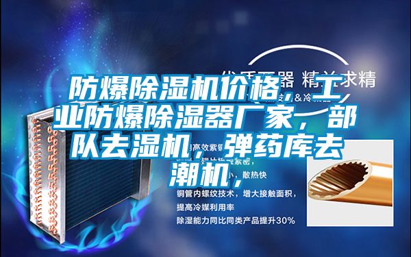 防爆除湿机价格，工业防爆除湿器厂家，部队去湿机，弹药库去潮机，