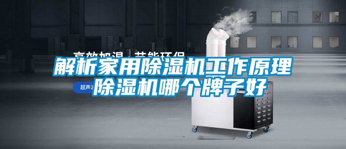 解析家用除湿机工作原理 除湿机哪个牌子好