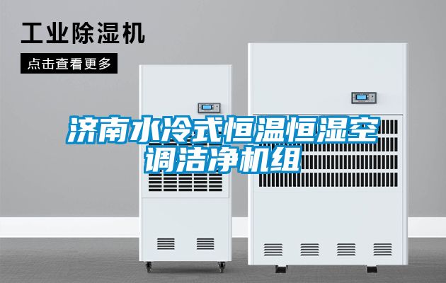 济南水冷式恒温恒湿空调洁净机组