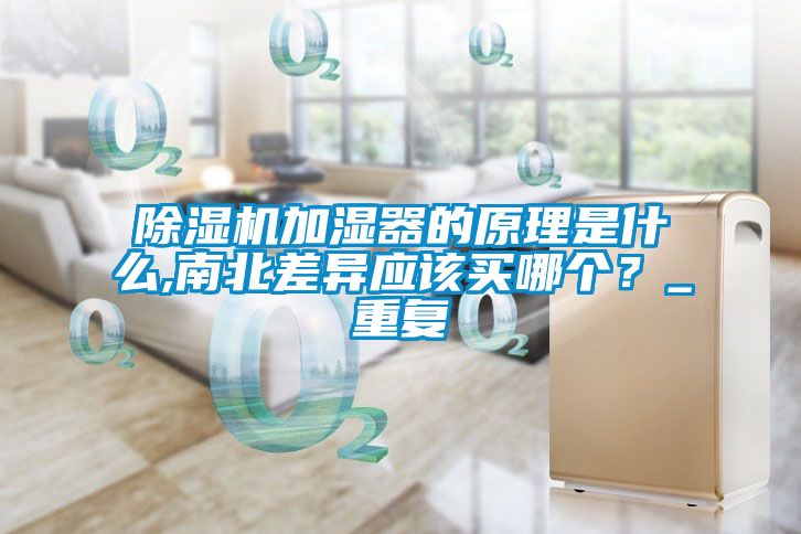 除湿机加湿器的原理是什么,南北差异应该买哪个？_重复