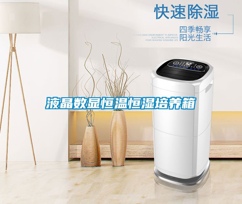液晶数显恒温恒湿培养箱