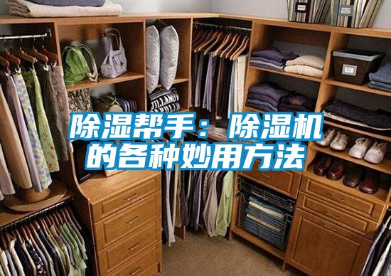 除湿帮手：除湿机的各种妙用方法
