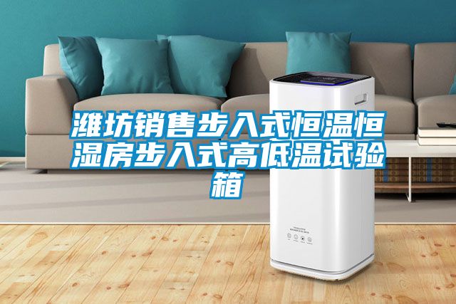 潍坊销售步入式恒温恒湿房步入式高低温试验箱