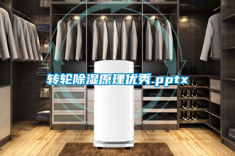转轮除湿原理优秀.pptx
