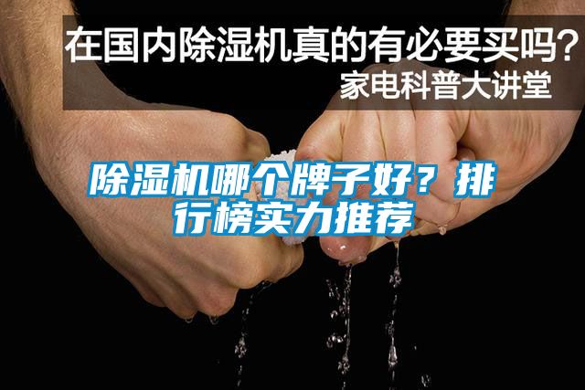 除湿机哪个牌子好？排行榜实力推荐