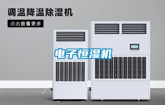 电子恒湿机