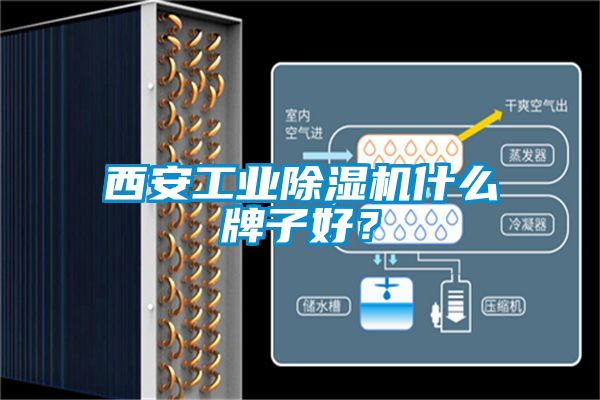 西安工业除湿机什么牌子好？