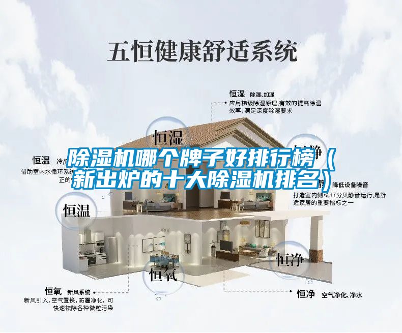 除湿机哪个牌子好排行榜（新出炉的十大除湿机排名）