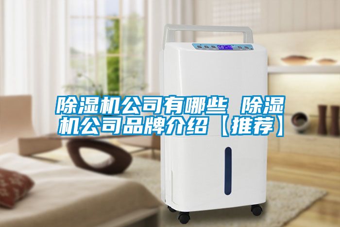 除湿机公司有哪些 除湿机公司品牌介绍【推荐】
